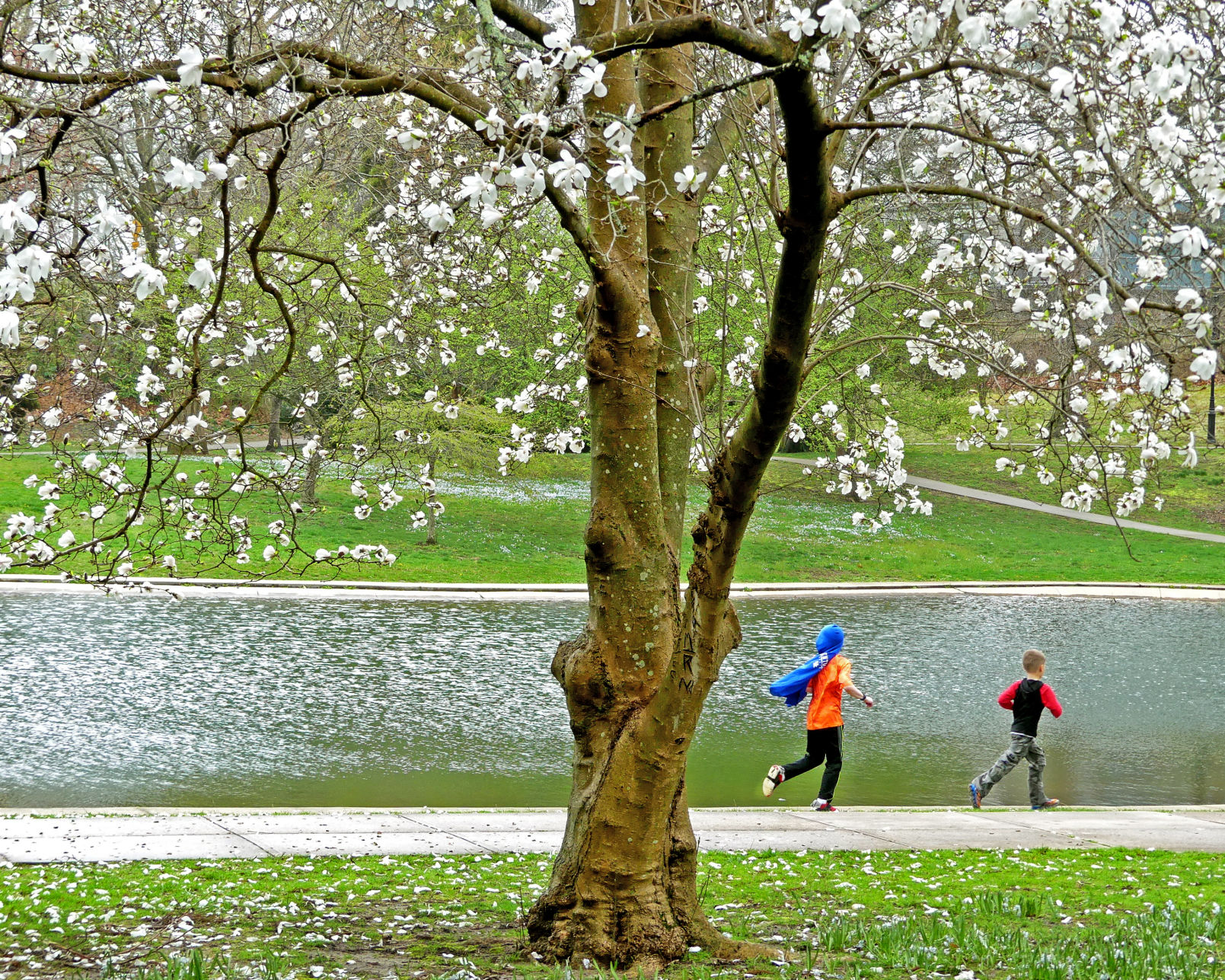 042119 WES Wilcox Park in Spring 342.JPG